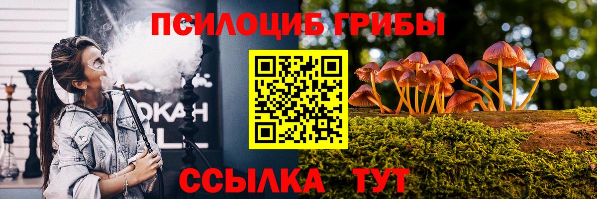 Галлюциногенные грибы Psilocybe  Вход с VPN  Семёнов 
