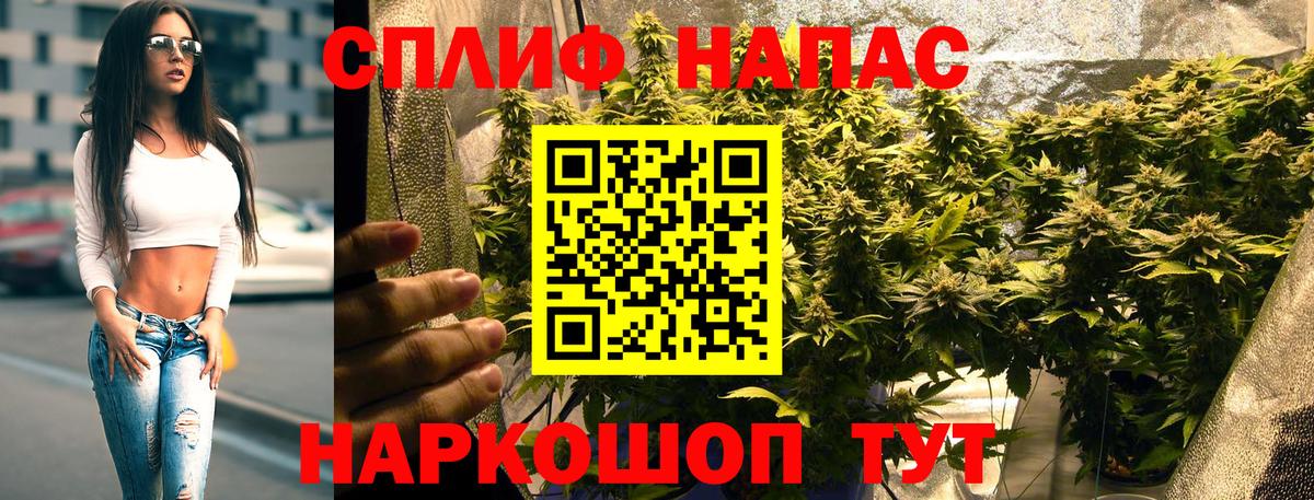 Бошки марихуана Amnesia  МАРИХУАНА план  Шишки марихуана планчик  Вход с VPN  Семёнов 